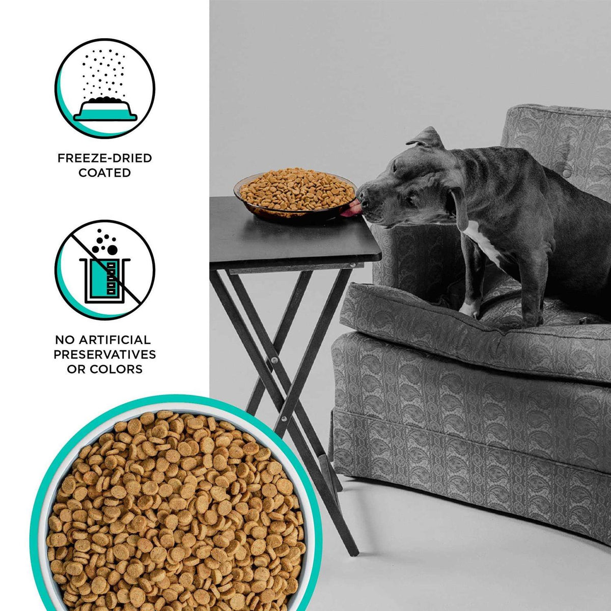 Duck Recipe Dry Dog Food X725