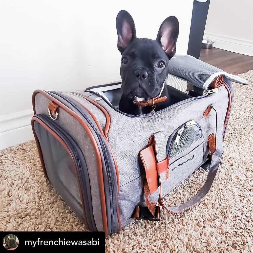 Airline Approved Soft Sided Pet Carrier Tote X34486