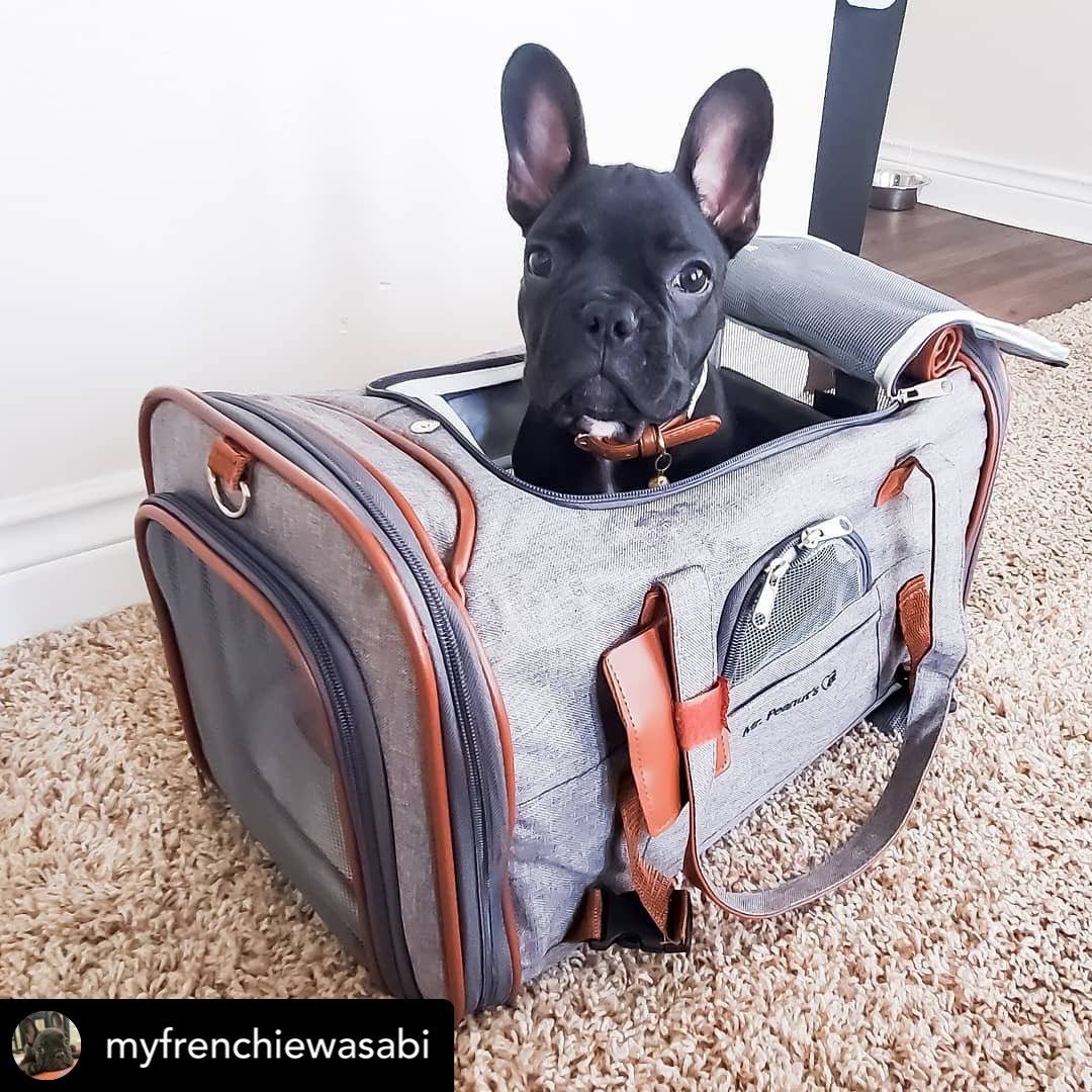 Airline Approved Soft Sided Pet Carrier Tote X34486