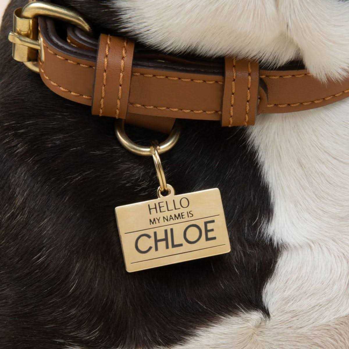 Hello My Name is ID Tag M767724