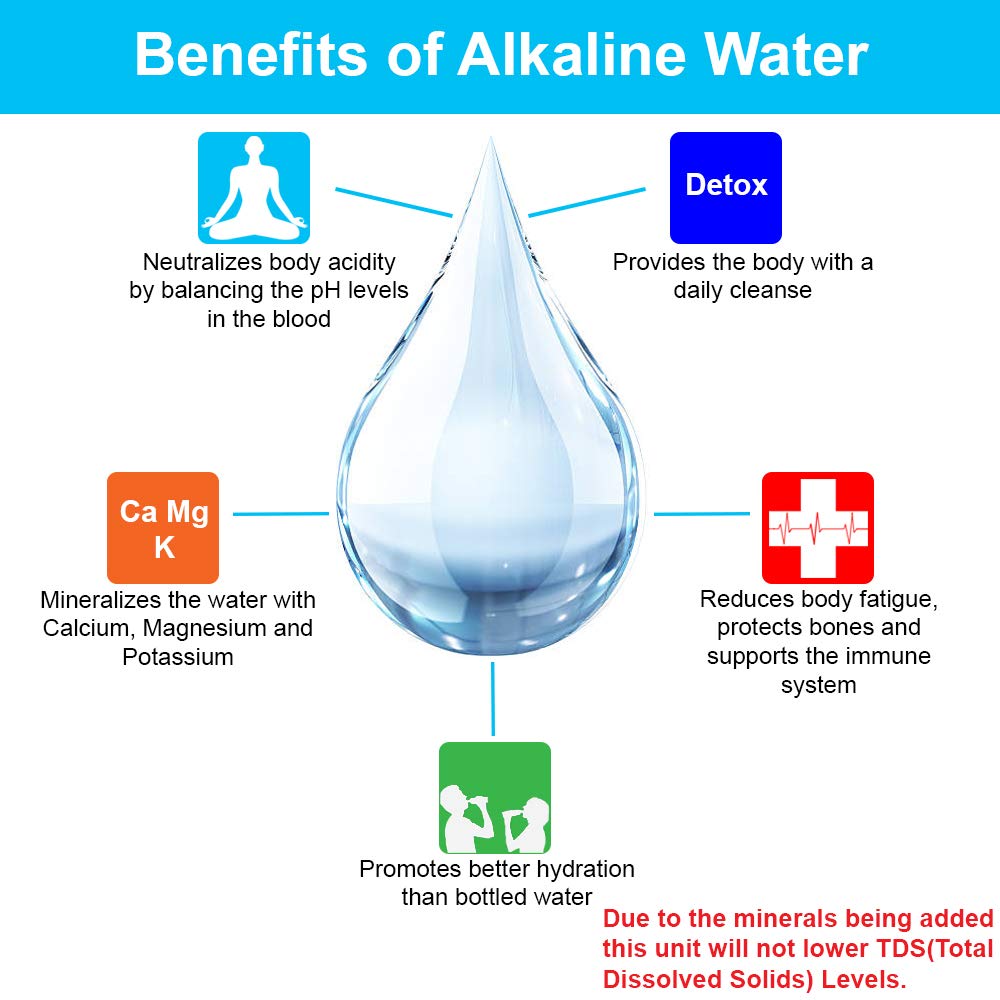 Countertop Water Filter R1776