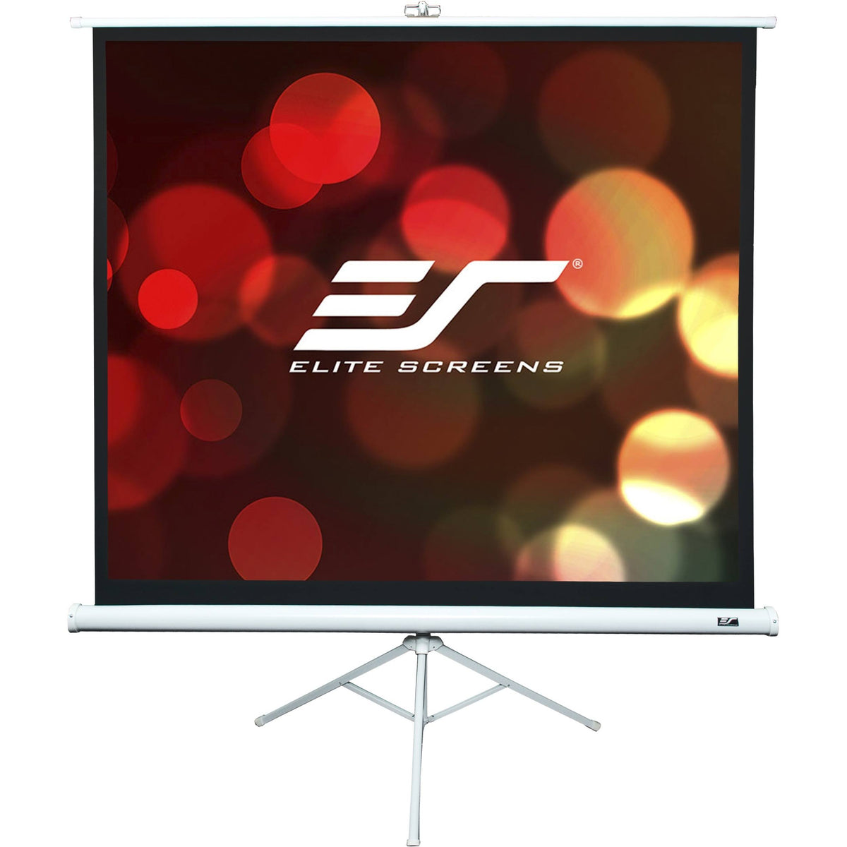 Portable Tripod Screen B14065