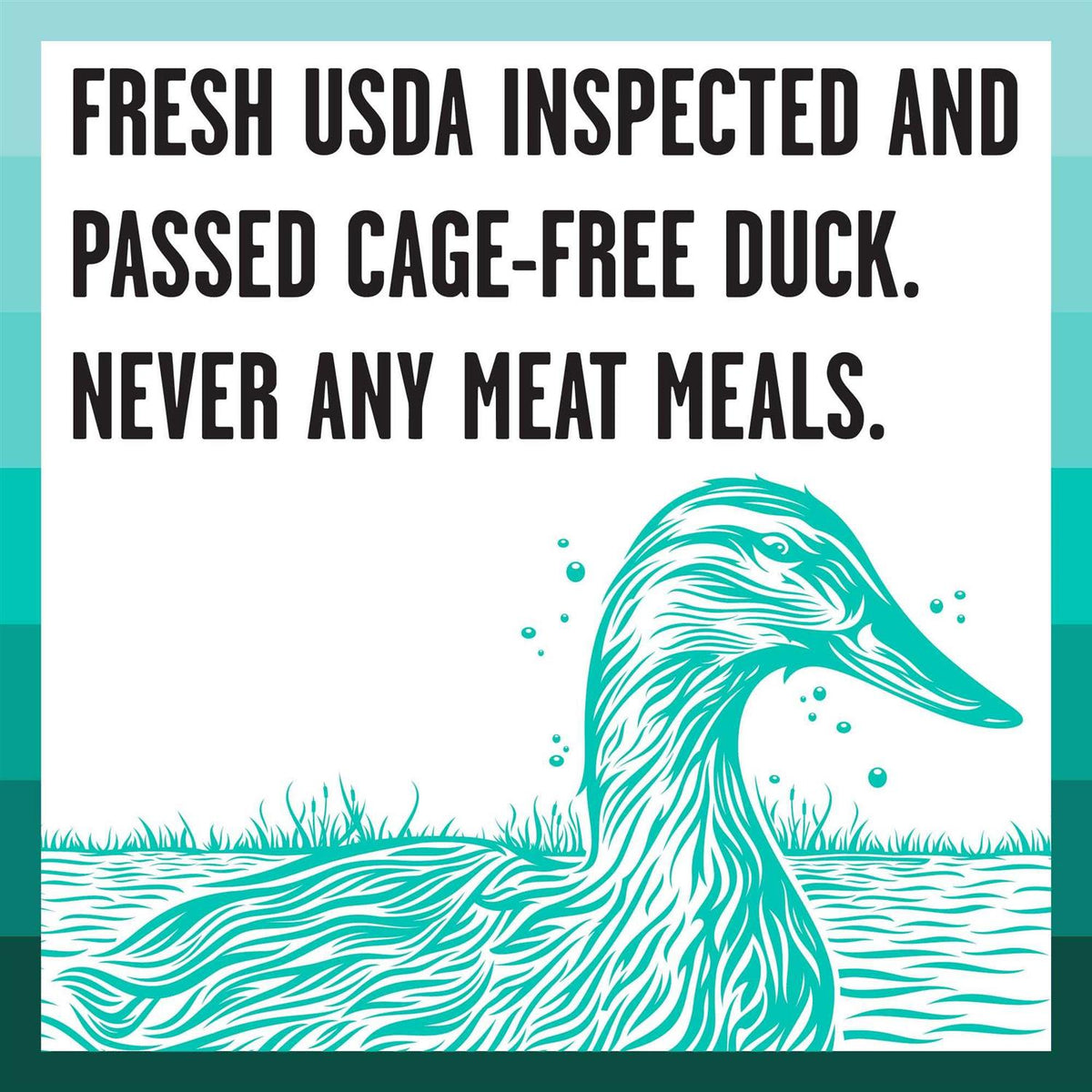 Duck Recipe Dry Dog Food X725