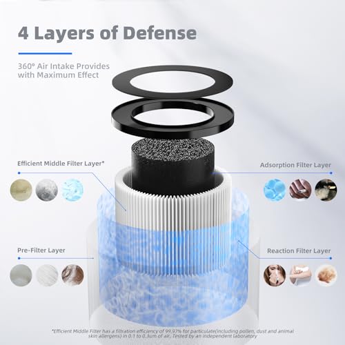 Air Filter Replacement 4-in-1 2 Pack C307583