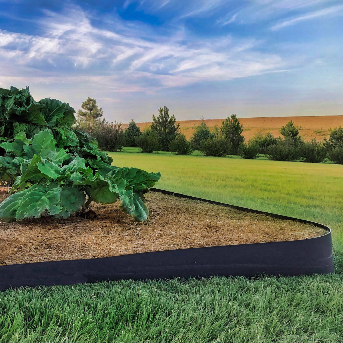 Landscape Edging 10 inch Depth 150 Feet Z529560