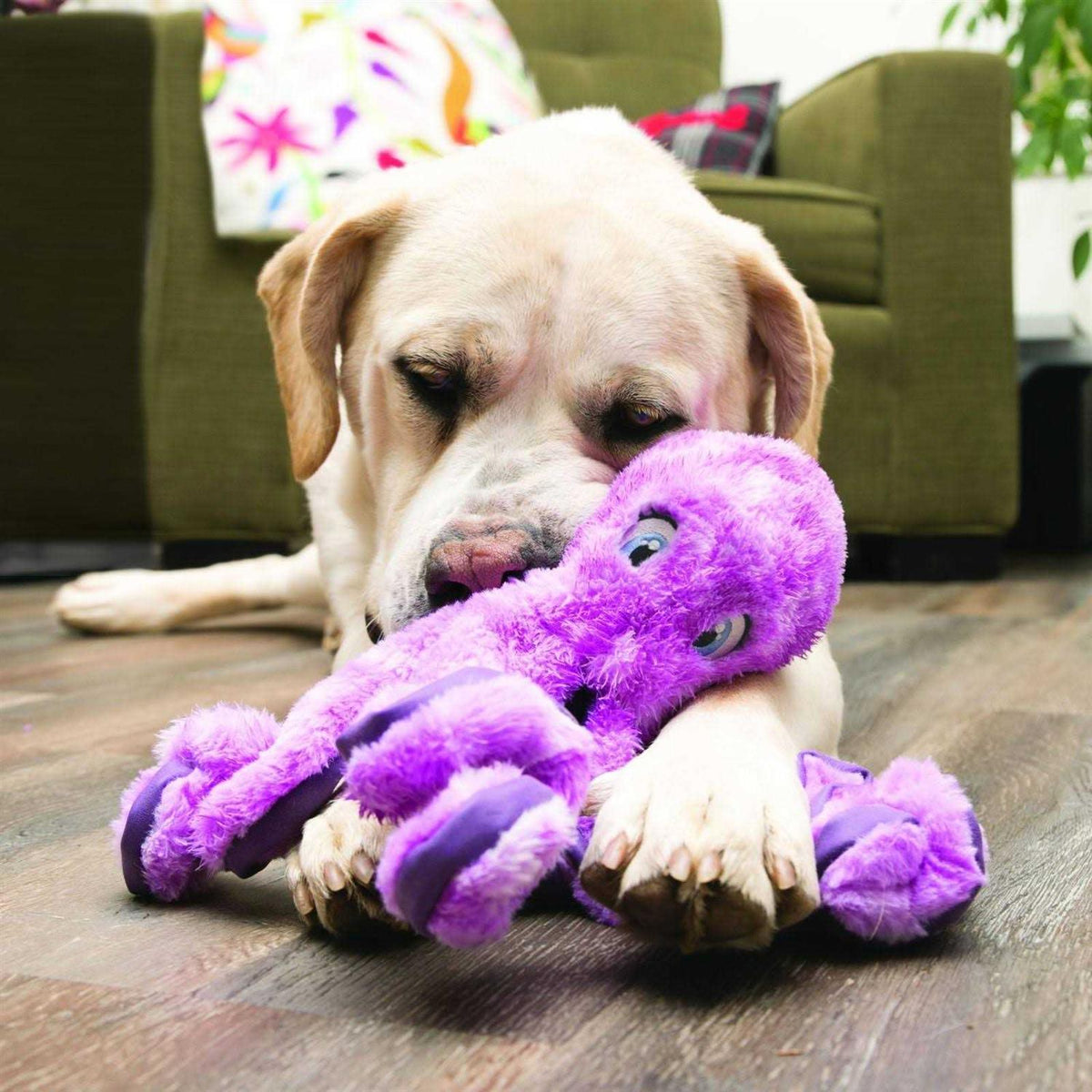 Octopus Dog Toy C488789
