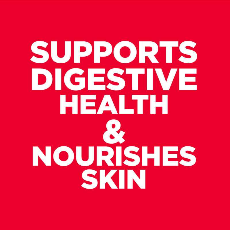 Sensitive Stomach & Skin Dry Dog Food O6037
