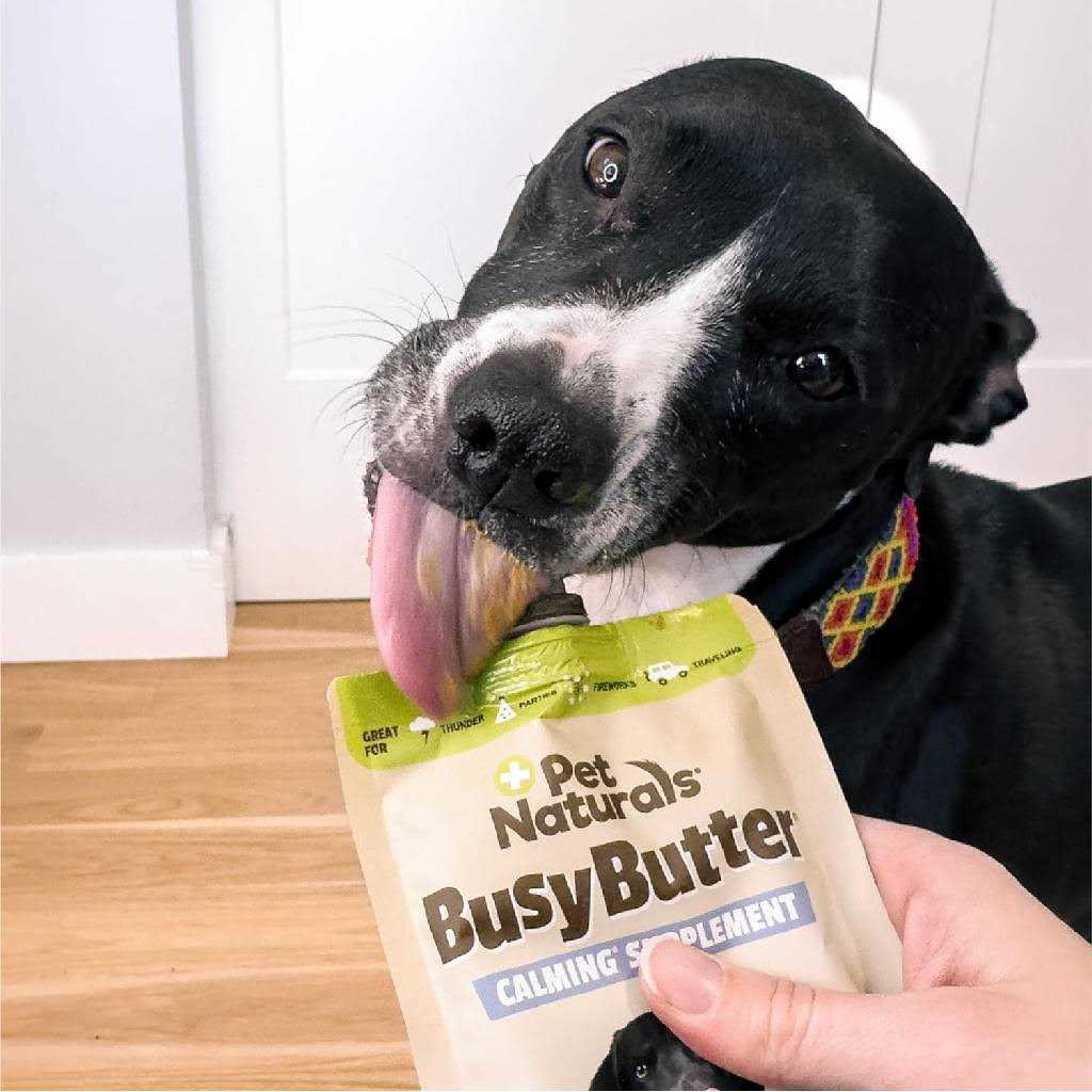 Calming Peanut Butter Pet Supplies I138848