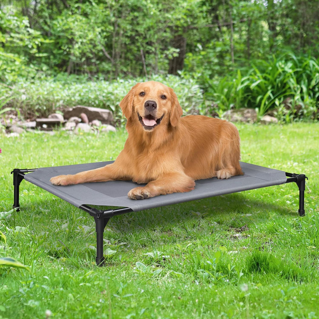Grey 42 Inch Elevated Dog Bed with Mesh F872957