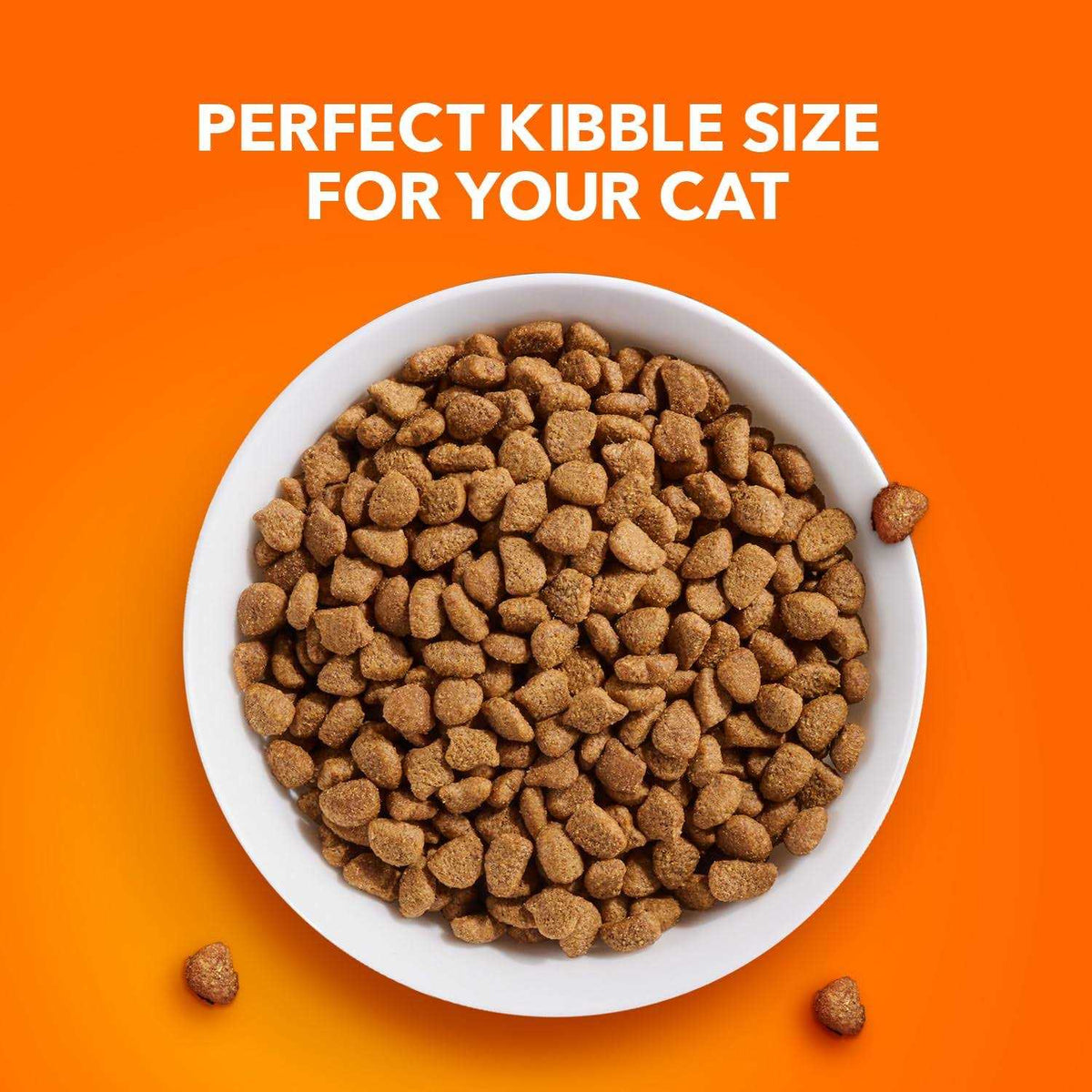 Sensitive Digestion & Skin Dry Cat Food G1664
