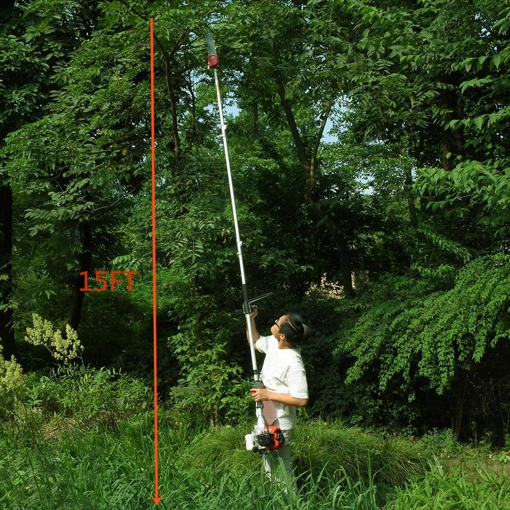 10 inch Gas Cordless Pole Saw with 3.6ft Extension D95885