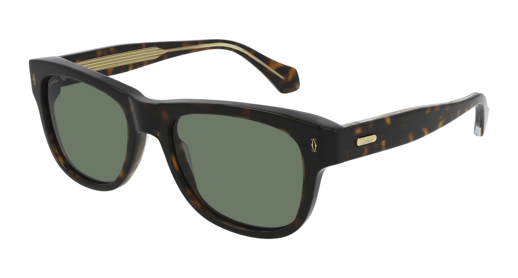 55mm Sunglasses E43253