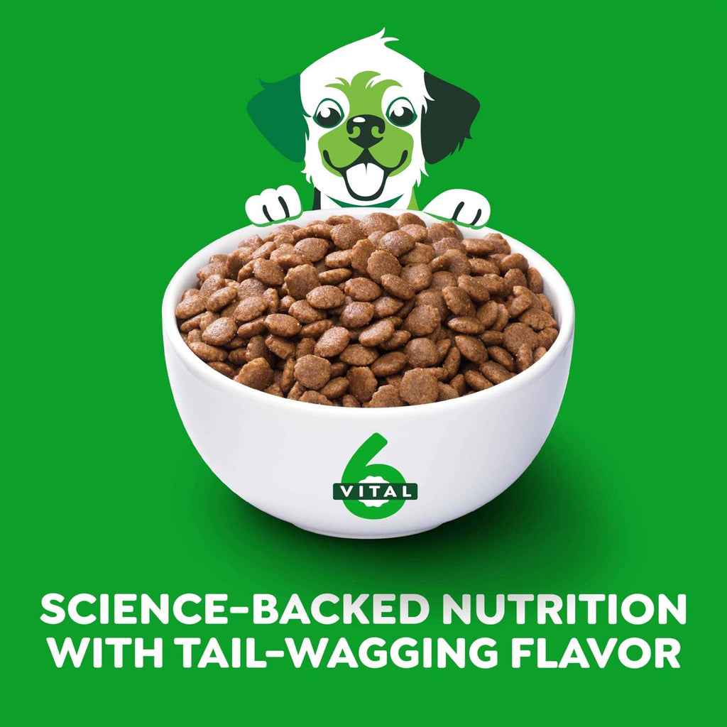 High Protein Real Chicken & Rice Dry Dog Food Y733070