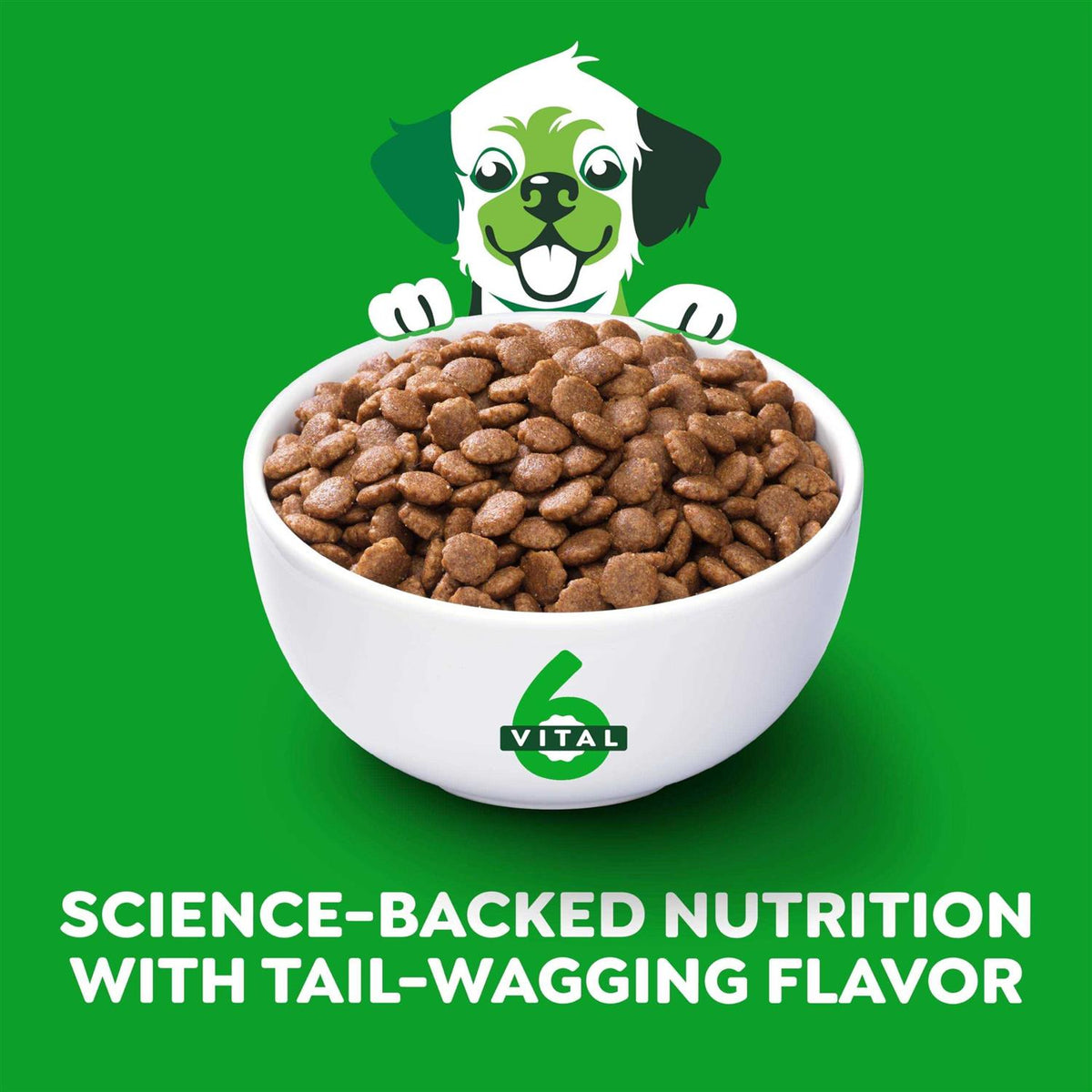 High Protein Real Chicken & Rice Dry Dog Food Y733070