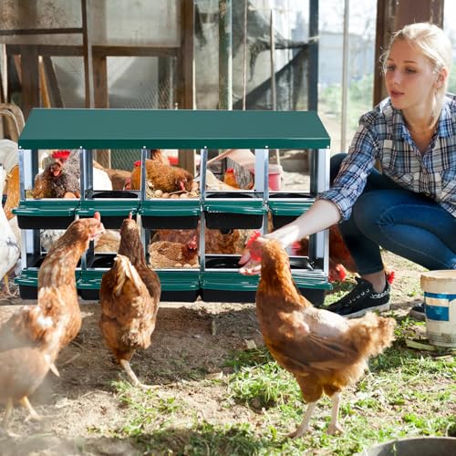 10 Hole 2 Layer Chicken Nesting Box with Legs Y186158