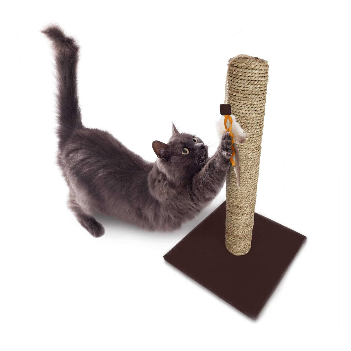 Simply Scratch Post with Feather Toy T477