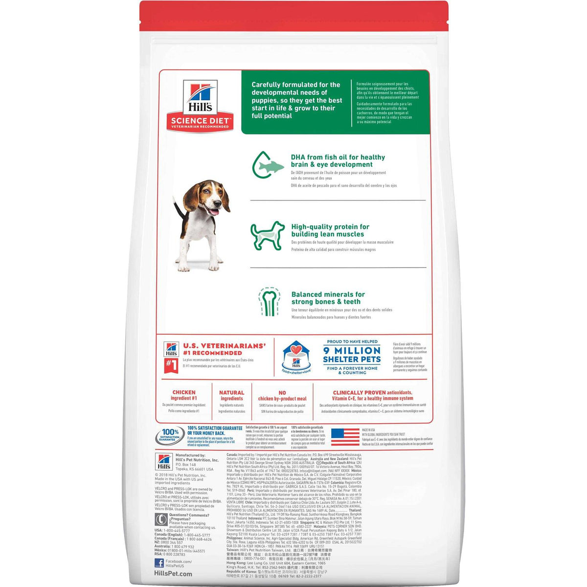 Chicken Dry Dog Food B8113