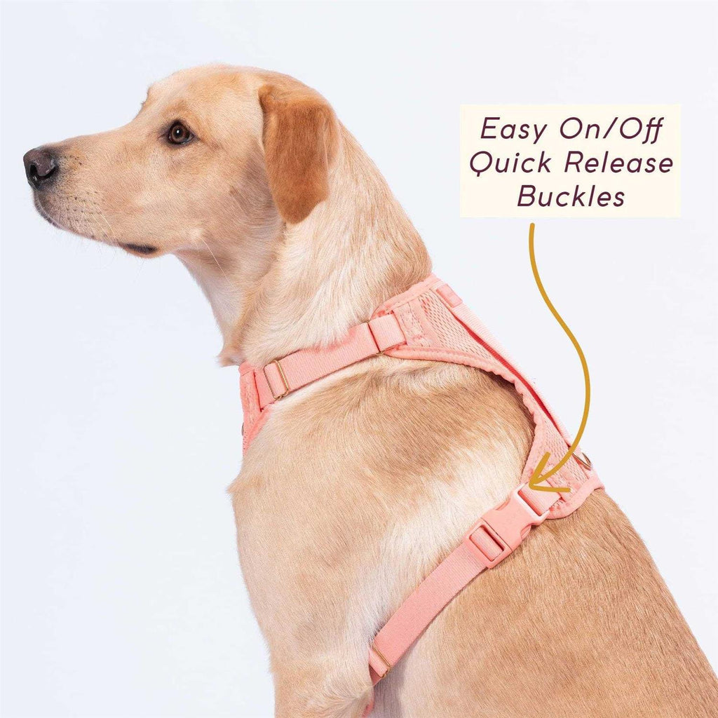 Huggie Harness Y5745