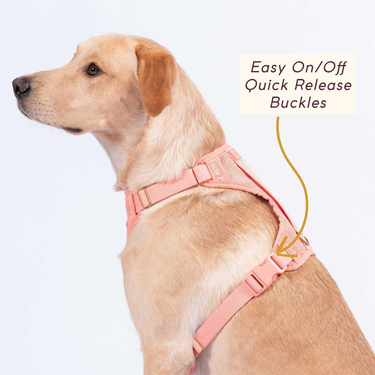 Huggie Harness Y5745