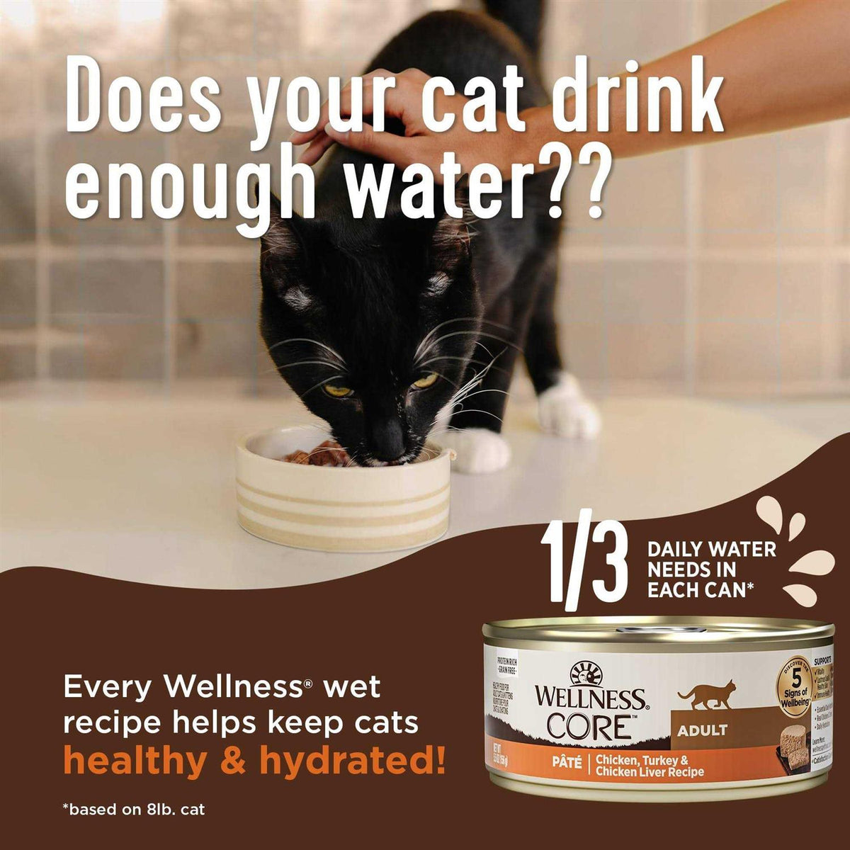 Natural Grain-Free Chicken Turkey & Chicken Liver Pate Canned Cat Food B8292
