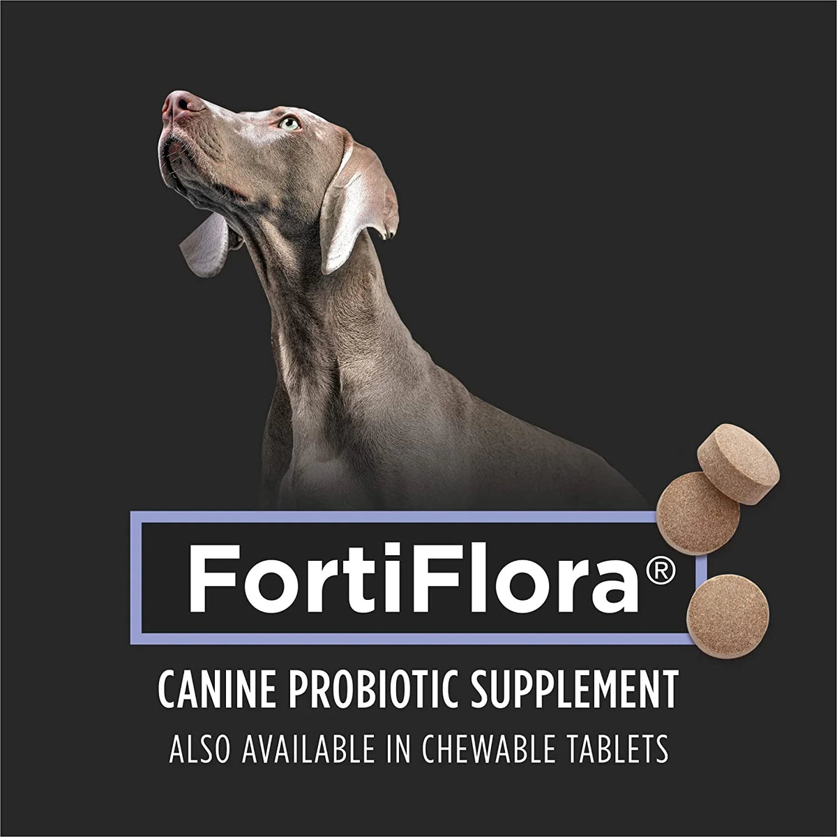 30 ct. Canine Probiotic Supplement Y7701
