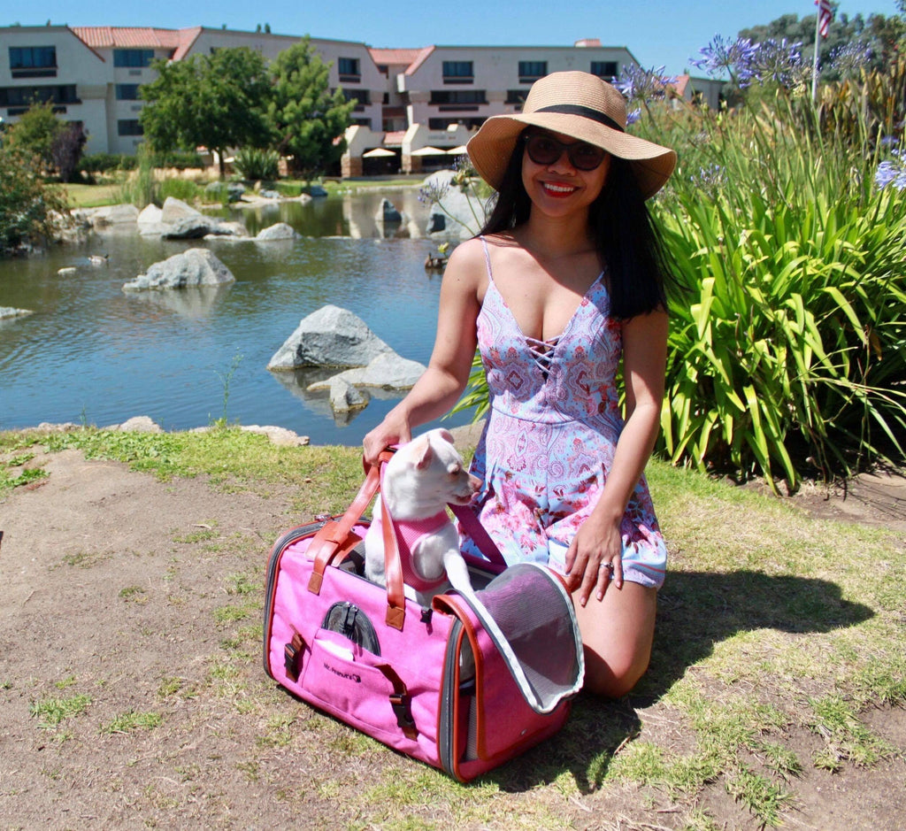 Airline Approved Soft Sided Pet Carrier Tote X34486
