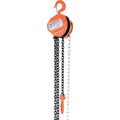 Hand Chain Hoist R313