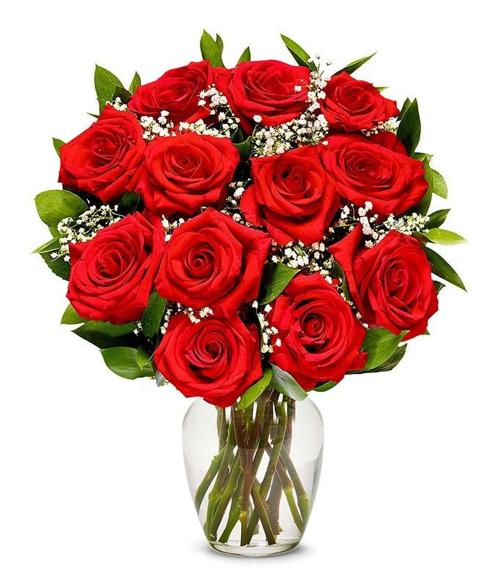 One Dozen Long Stemmed Red Roses Fresh Flowers A2431
