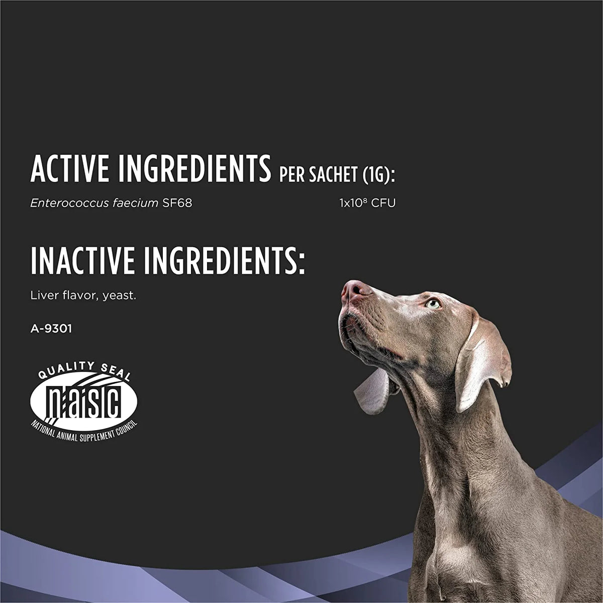 30 ct. Canine Probiotic Supplement Y7701