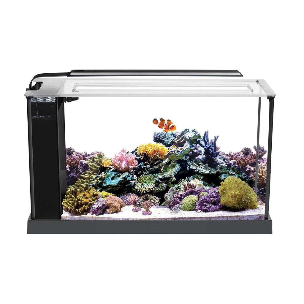 Aquarium Kit C129