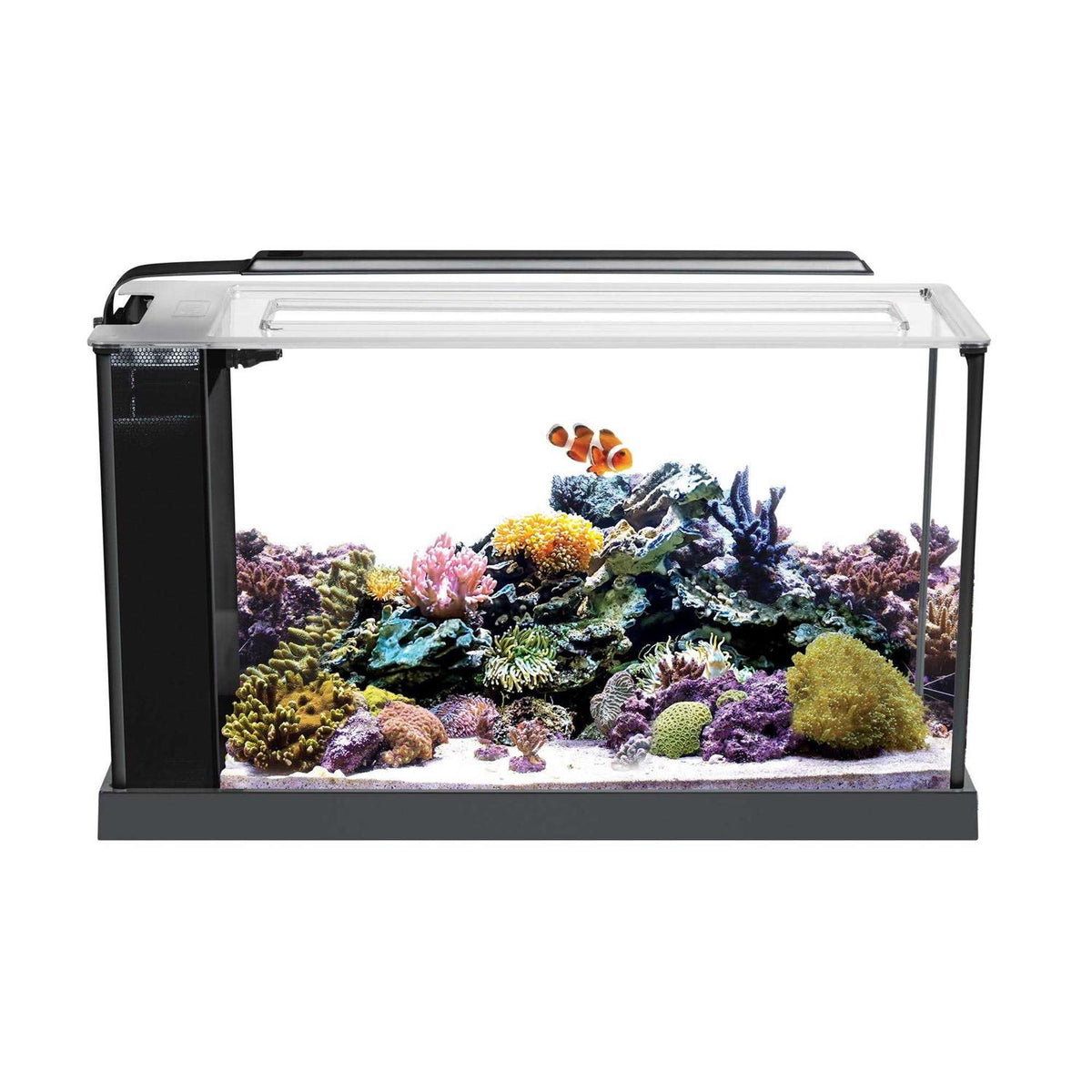 Aquarium Kit C129