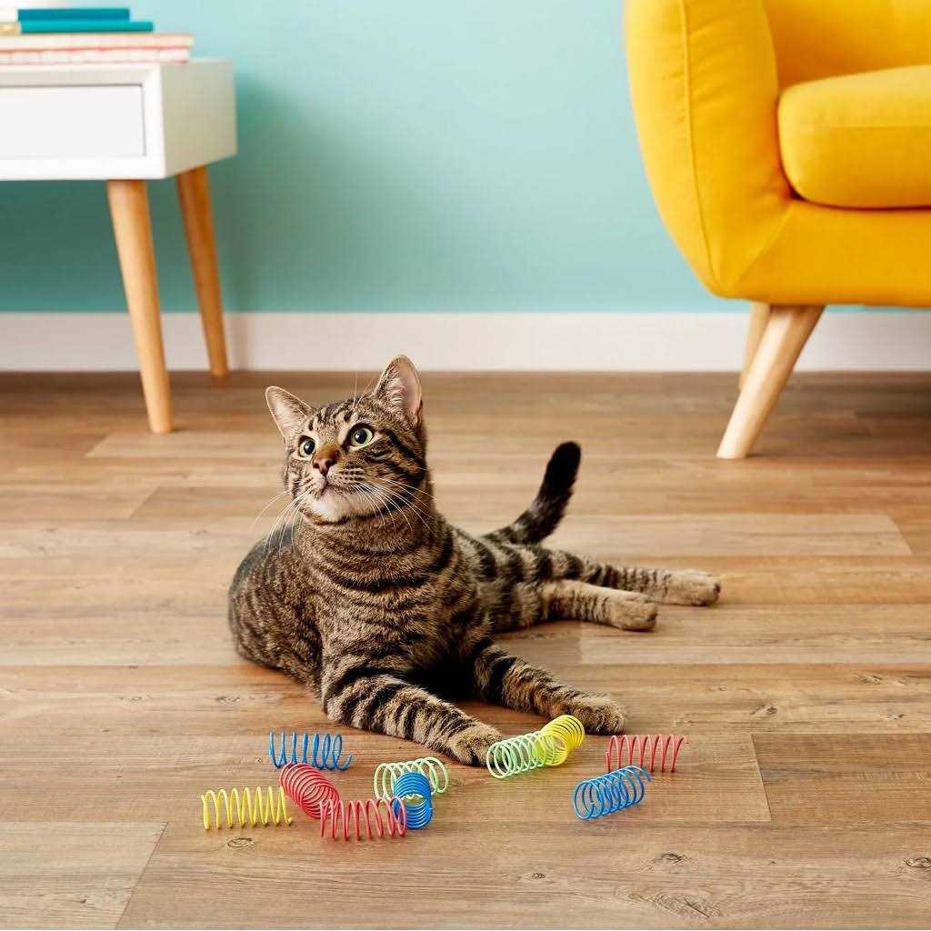 Colorful Springs Cat Toy W940030