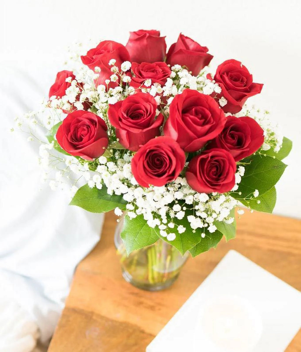 One Dozen Long Stemmed Red Roses Fresh Flowers A2431