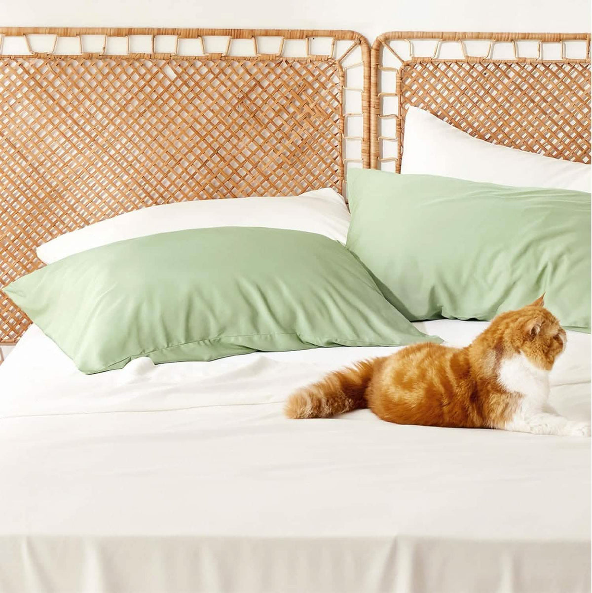 Pillow Cases Set E58543