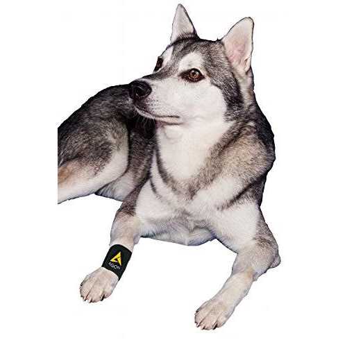 Dog Front Leg Brace Paw Compression Wraps C130668