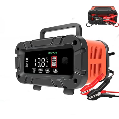 20A 12V 24V Smart Battery Charger N6054