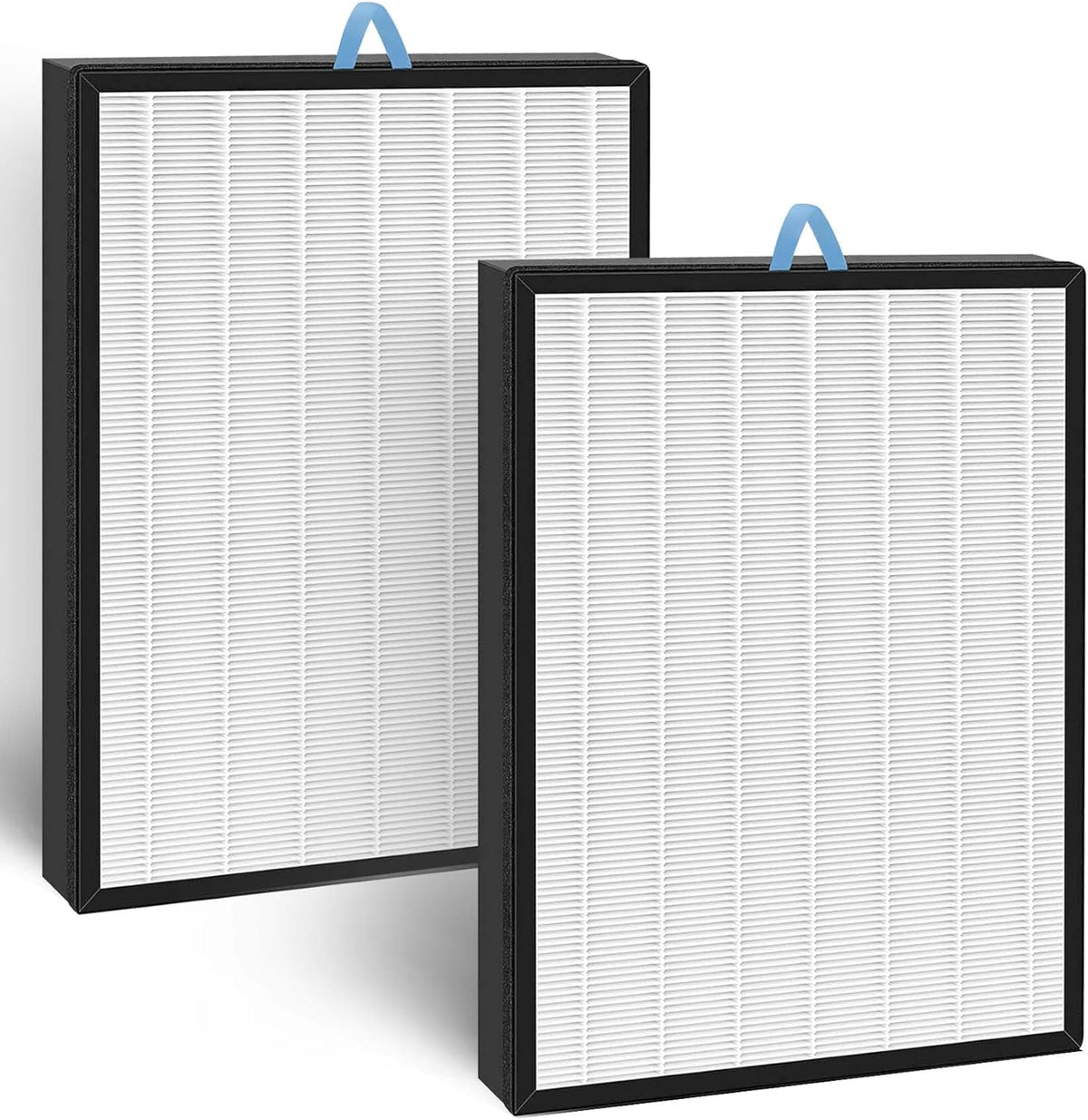 2-PACK High-Efficiency Activated Carbon Filters I8626