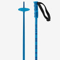 Ski Poles X1655