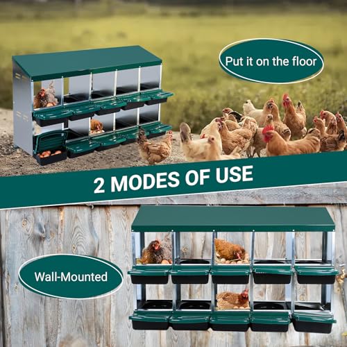 10 Hole 2 Layer Chicken Nesting Box with Legs Y186158