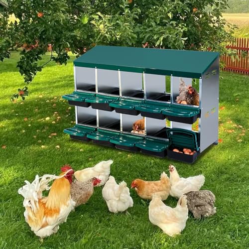 10 Hole 2 Layer Chicken Nesting Box with Legs Y186158