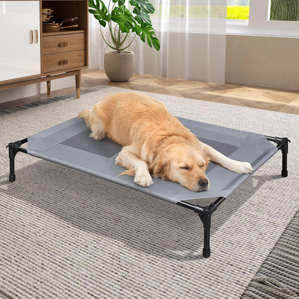 Grey 42 Inch Elevated Dog Bed with Mesh F872957