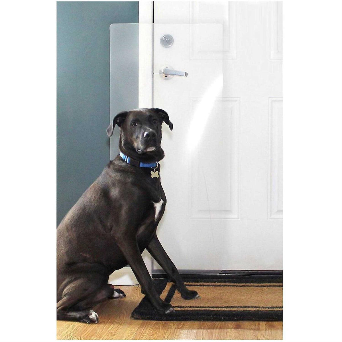 Heavy Duty Big Dog Scratch Shield U320