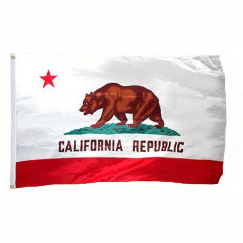Nylon Polyester Flag W619