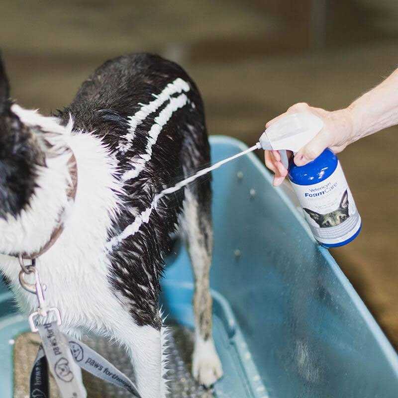Medicated Pet Shampoo Y428