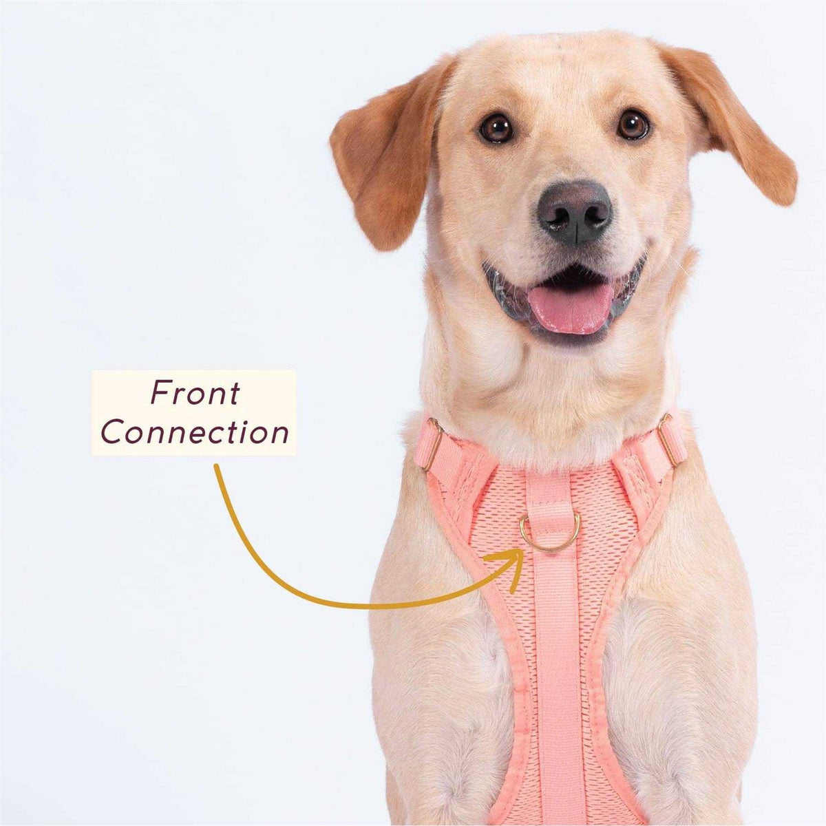 Huggie Harness Y5745