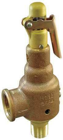 Safety Relief Valve, 2 x 2-1/2 In, 150 PSI C6203