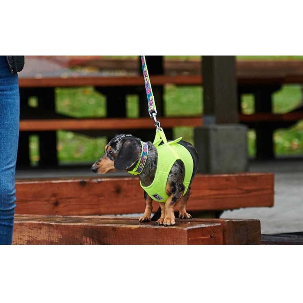 Step in Dog Harness N518