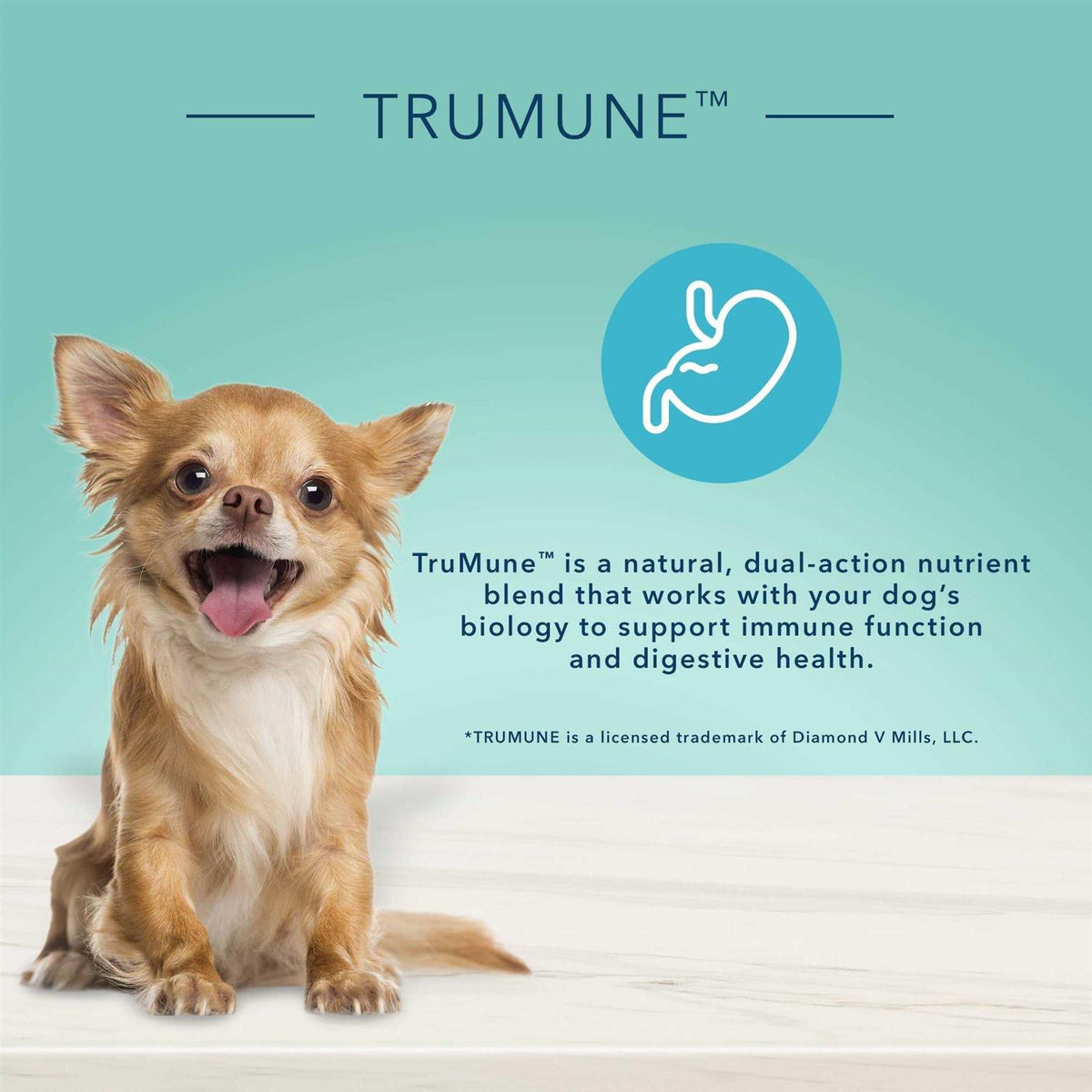 Small Breed Adult Dry Dog Food Y896660