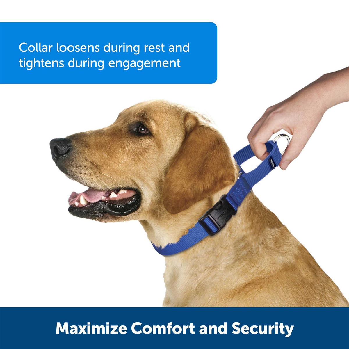 Martingale Collar T8300