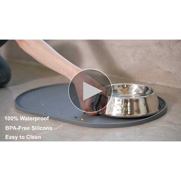 Silicone Dog Food Mat Waterproof B222